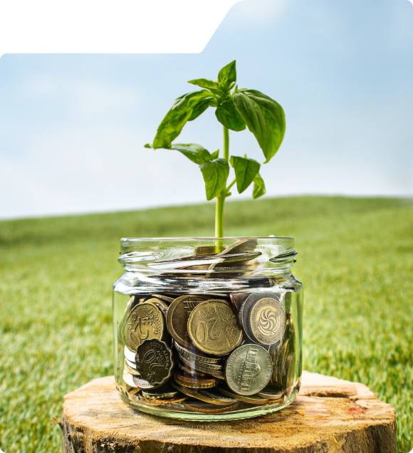 About Market Mediator